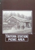 Book cover of Tintern Station Picnic Area by Gwent County Council